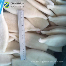 Frozen Cleaned Squid Tube U10 U7 U5 White Color EU Chemical Treated Carton Packing